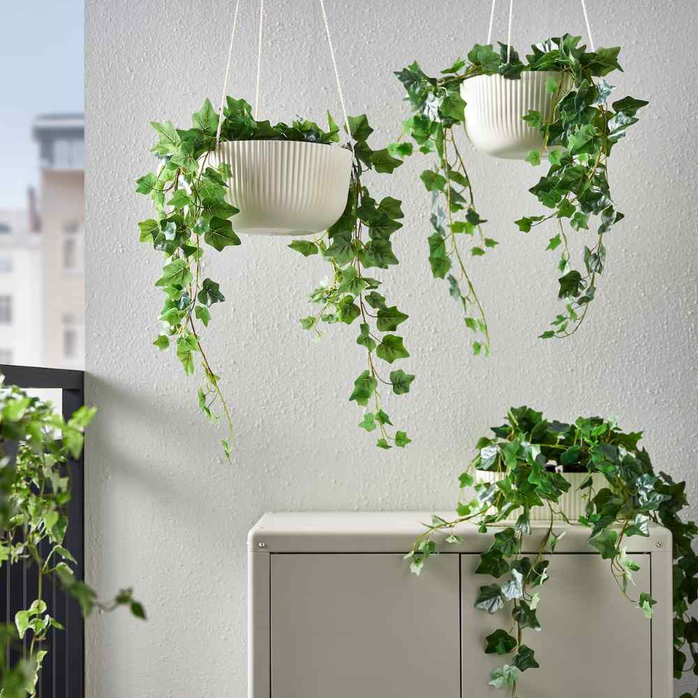 9 Refreshing Hanging Plant Ideas for Your Bathroom Oasis