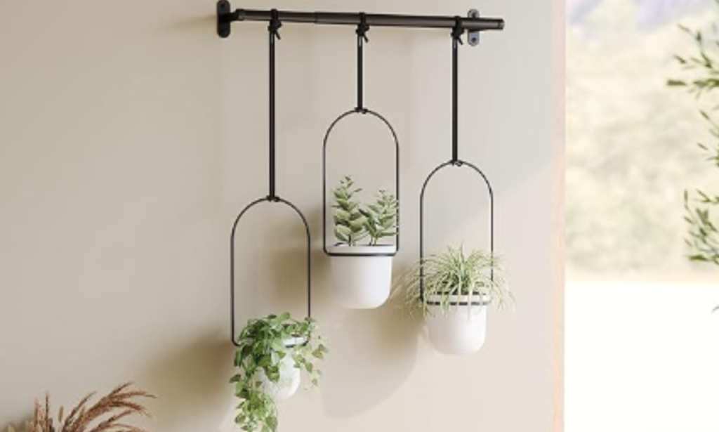 Umbra Triflora Hanging Planter Review 2024